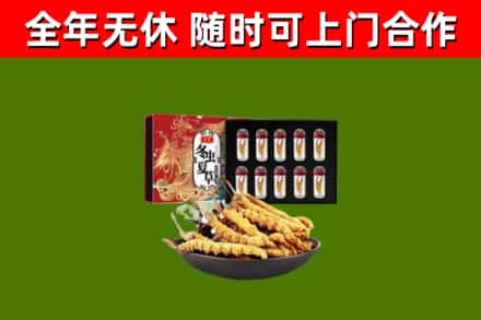 富平烟酒回收冬虫夏草礼盒.jpg